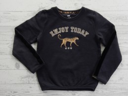 WE Fashion sweater donkergrijs goud panter Romy Rock maat 110-116